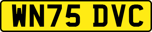 WN75DVC