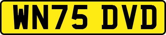 WN75DVD