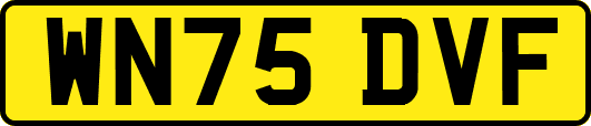 WN75DVF