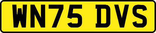 WN75DVS