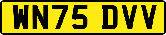 WN75DVV