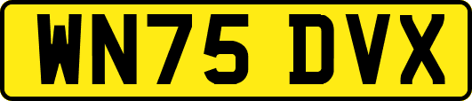 WN75DVX