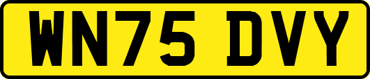 WN75DVY