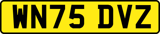 WN75DVZ