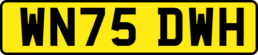 WN75DWH
