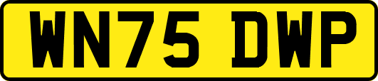 WN75DWP