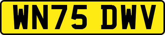 WN75DWV