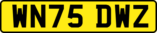 WN75DWZ