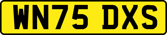 WN75DXS