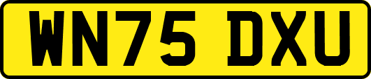 WN75DXU