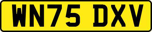 WN75DXV