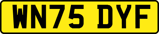 WN75DYF