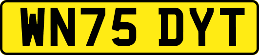 WN75DYT