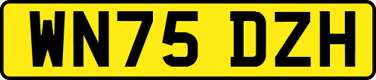WN75DZH