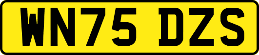 WN75DZS