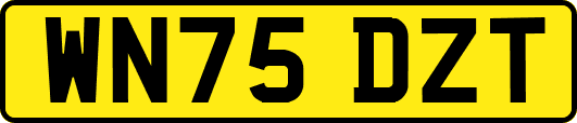 WN75DZT