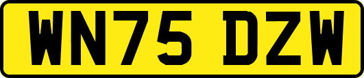 WN75DZW