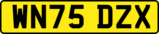 WN75DZX