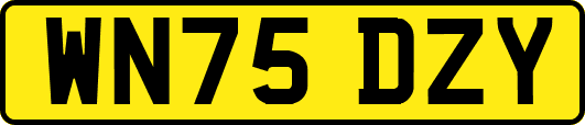 WN75DZY