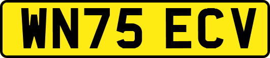 WN75ECV