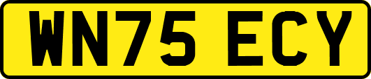WN75ECY