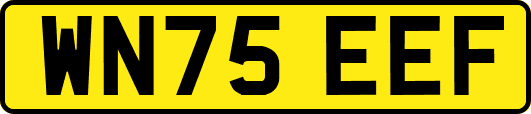WN75EEF