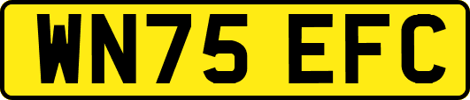 WN75EFC
