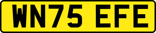WN75EFE