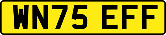 WN75EFF