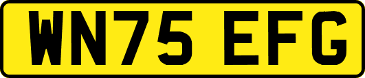 WN75EFG