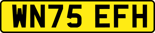 WN75EFH