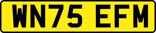 WN75EFM