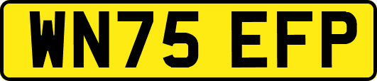 WN75EFP
