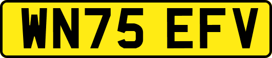 WN75EFV