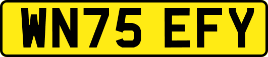 WN75EFY