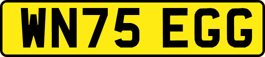 WN75EGG