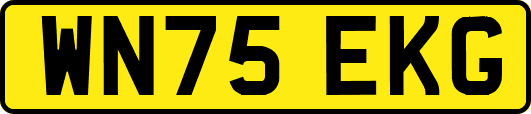 WN75EKG