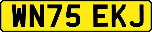 WN75EKJ