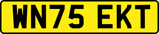 WN75EKT