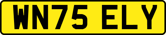 WN75ELY