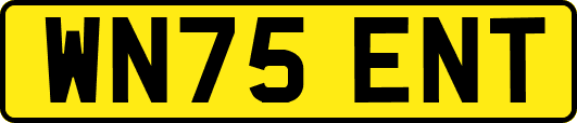 WN75ENT