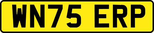 WN75ERP