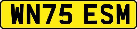 WN75ESM