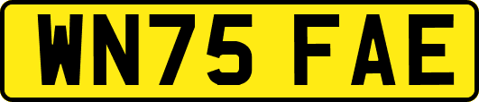 WN75FAE