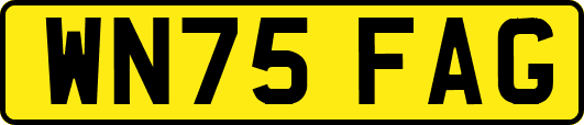 WN75FAG
