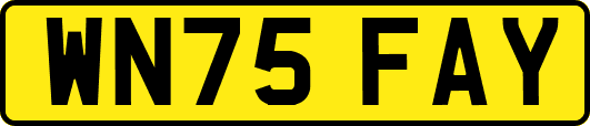 WN75FAY