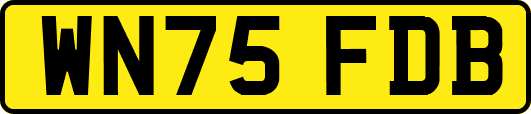 WN75FDB