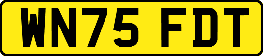 WN75FDT