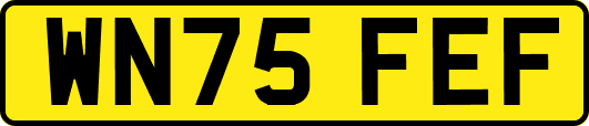 WN75FEF