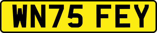 WN75FEY